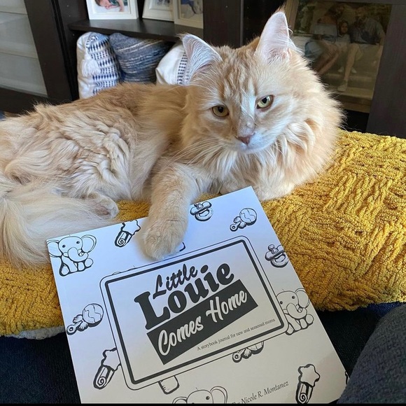 📖 I WROTE A BOOK!📖 - Picture 5 of 14